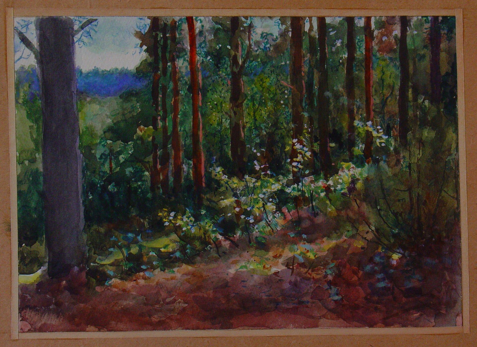 Лес в Рапти